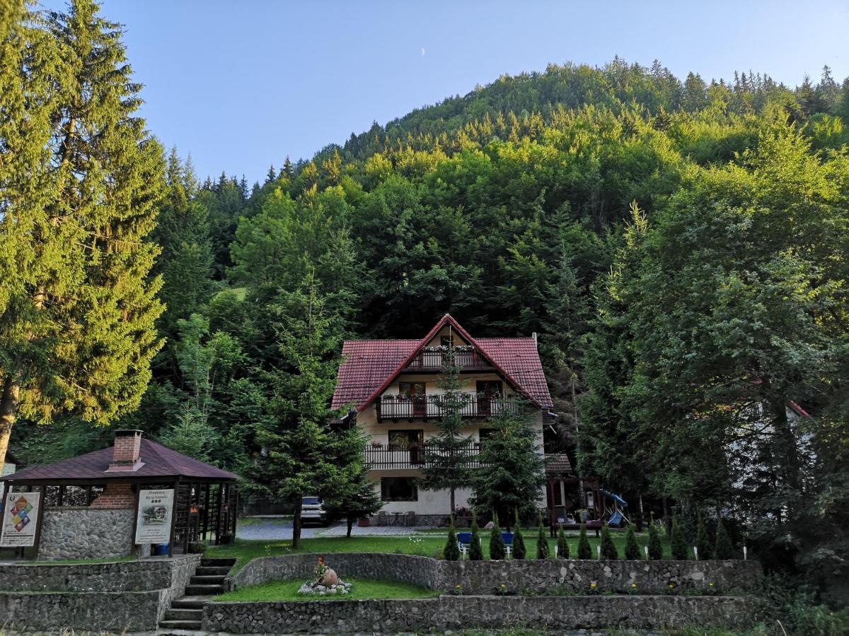 Отель Raza Soarelui Моечиу-де-Сус Экстерьер фото