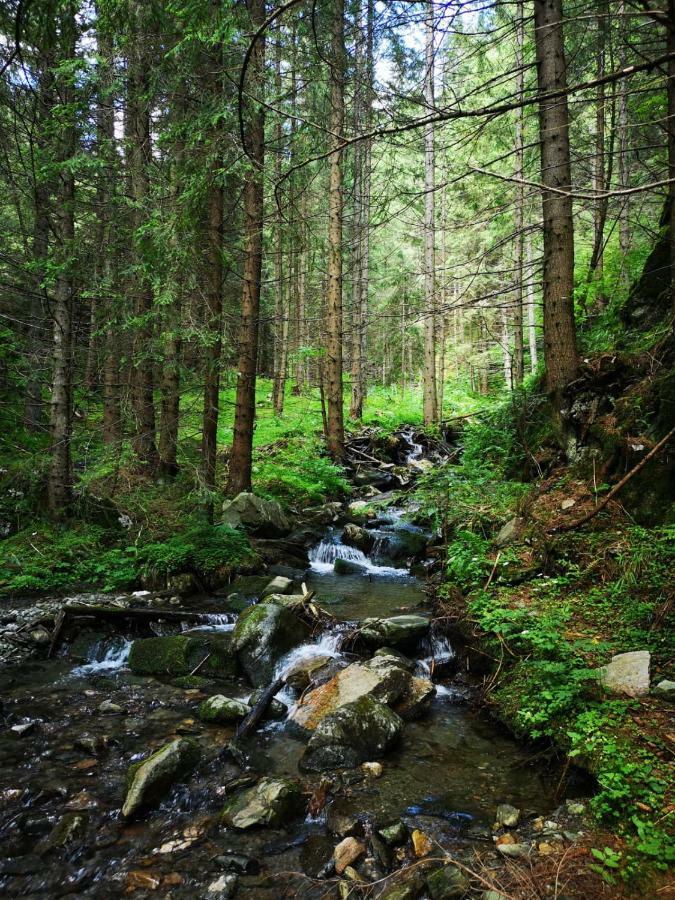Отель Raza Soarelui Моечиу-де-Сус Экстерьер фото